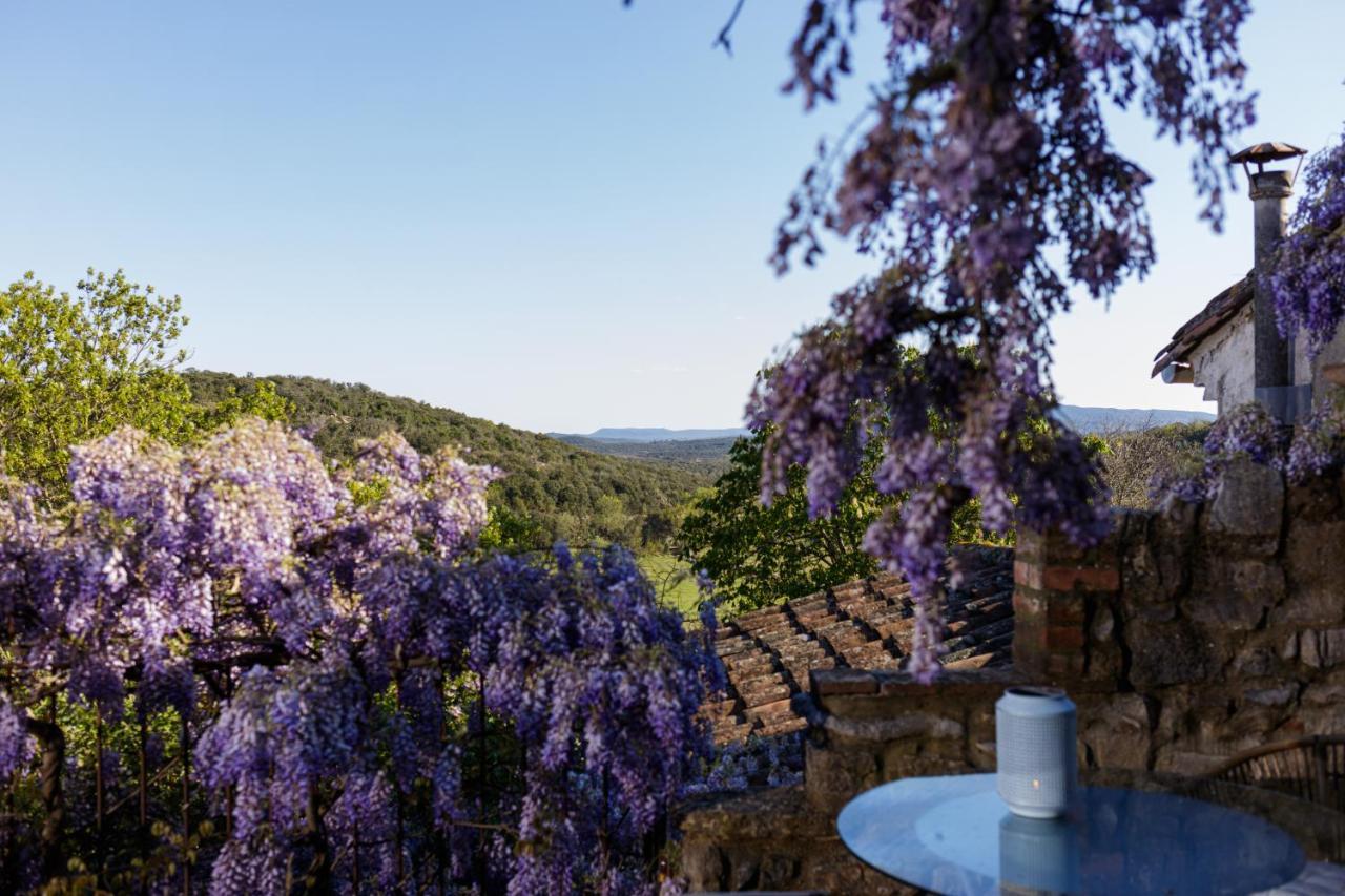 La Vieille Maison - Halte Gourmande Durfort-et-Saint-Martin-de-Sossenac Экстерьер фото