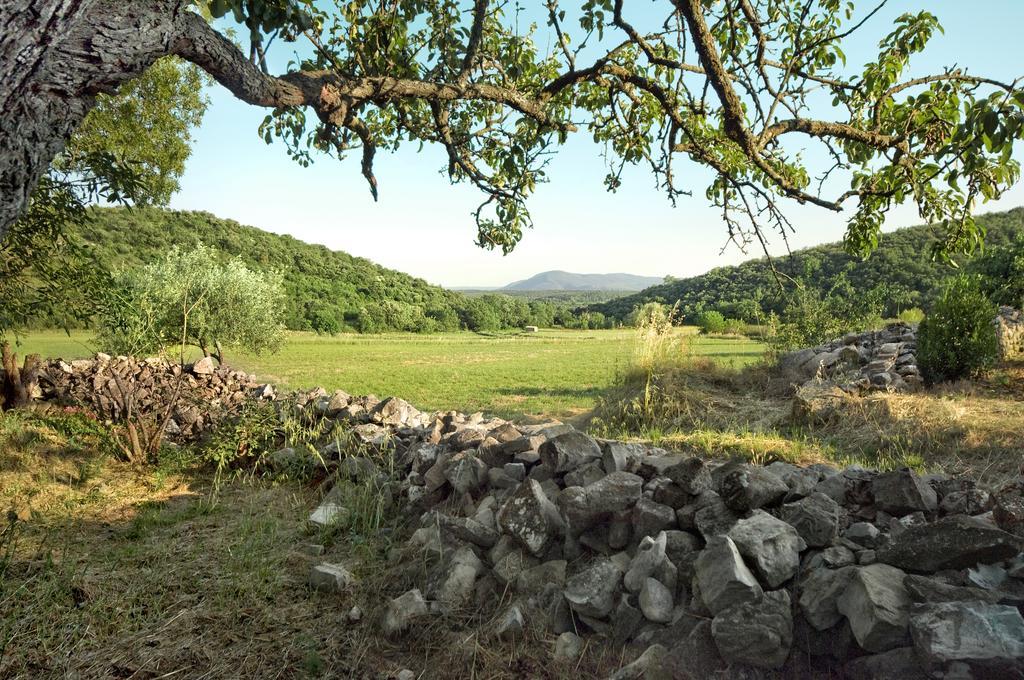 La Vieille Maison - Halte Gourmande Durfort-et-Saint-Martin-de-Sossenac Экстерьер фото